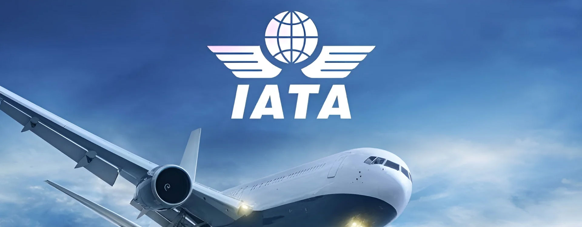 واکنش شدید IATA به پیشنهاد مالیات‌ بستن بر مسافران کلاس تجاری و فرست‌کلاس